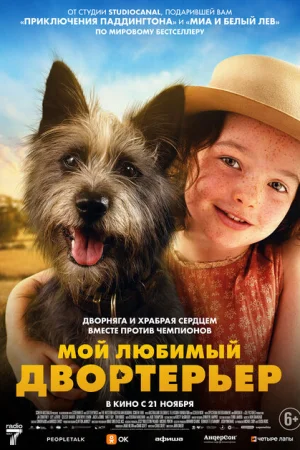 Мой любимый двортерьер 